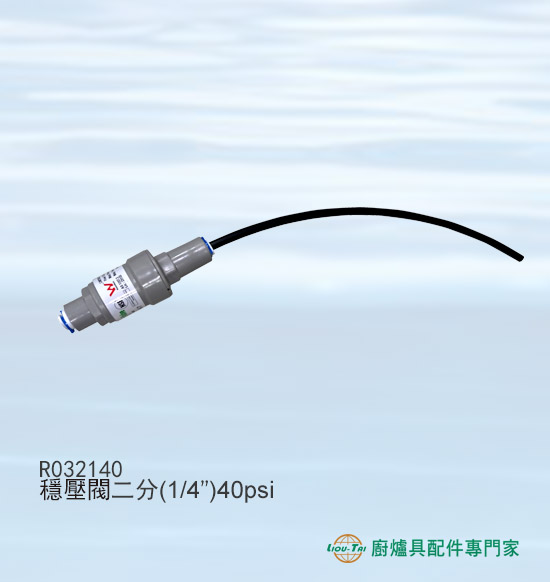 R032140 穩壓閥二分(1/4”)40psi